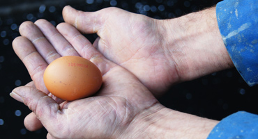 Präzise Fertigung von Vakuumbehältern